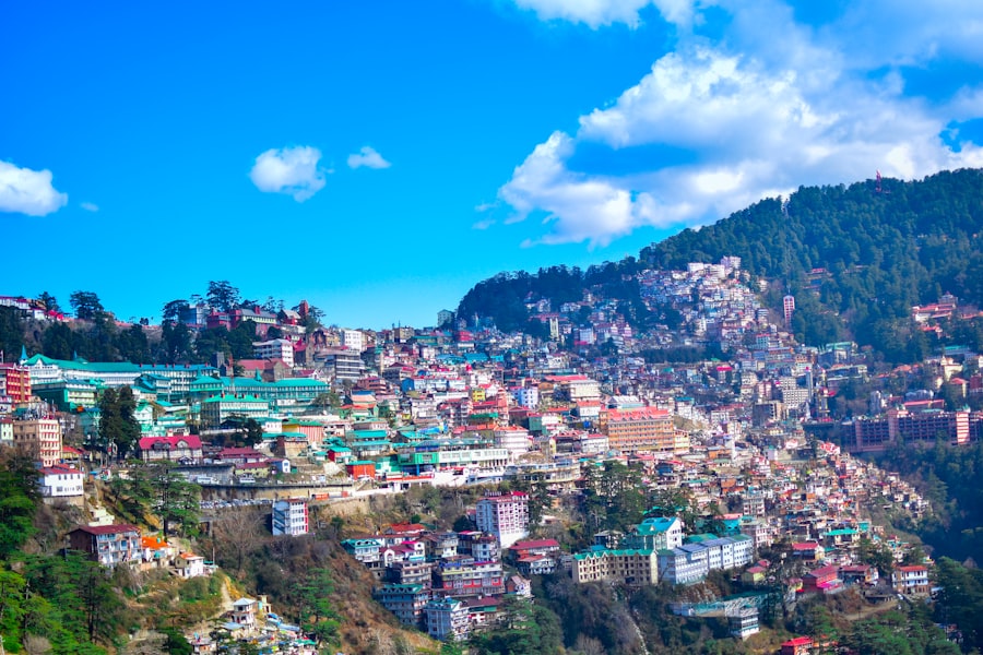 Solang Valley Resort / Similar
